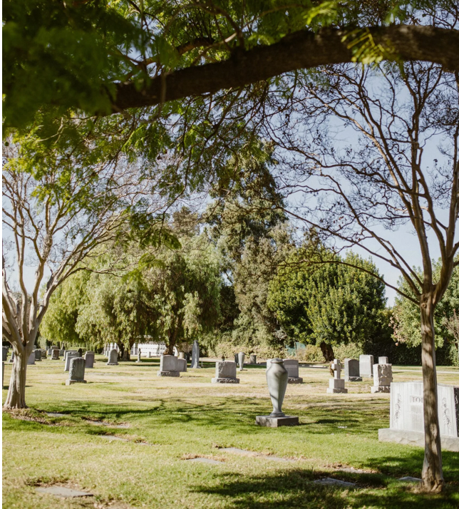 Kirkegård med grønne træer